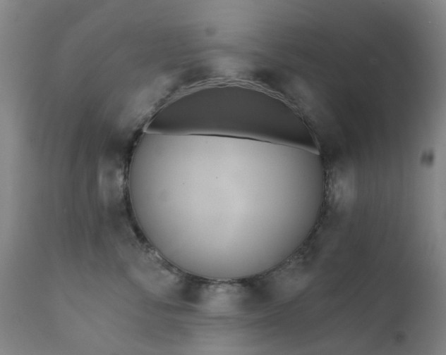 X0000111240716200907091359