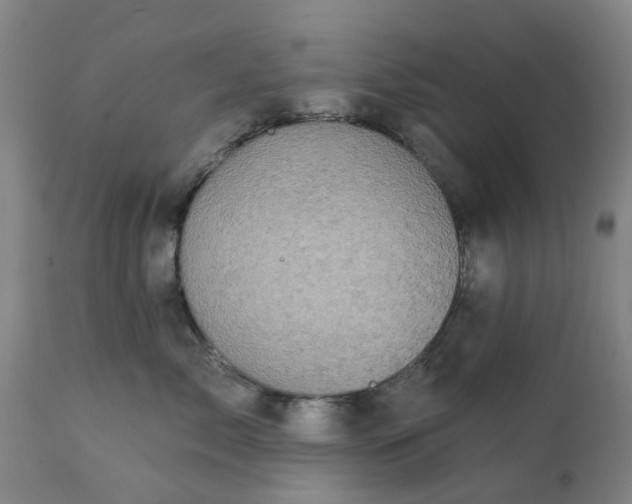 X0000111240717200907091359