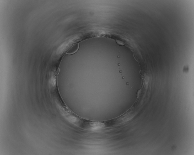 X0000111240719200907091359