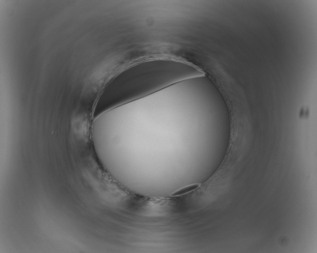 X0000111240720200907091359