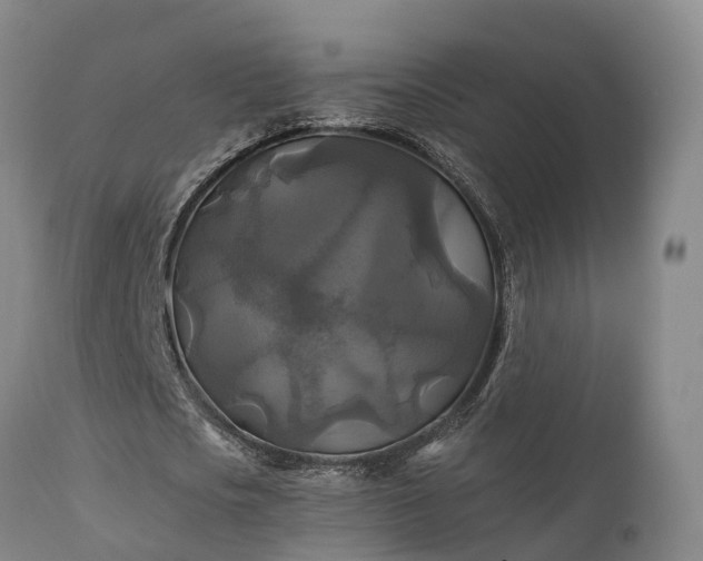 X0000111240721200907091358