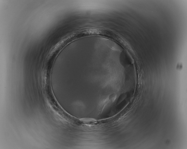 X0000111240722200907091358