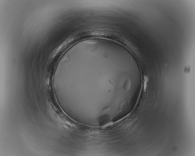 X0000111240723200907091358