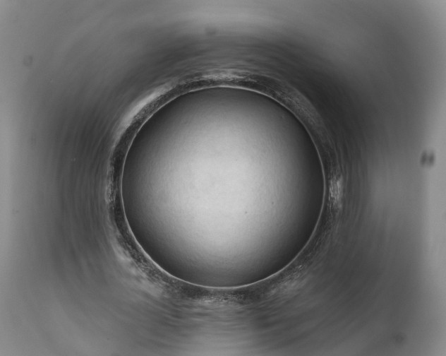 X0000111240724200907091358