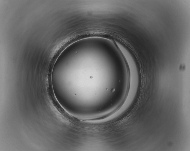 X0000111240725200907091358