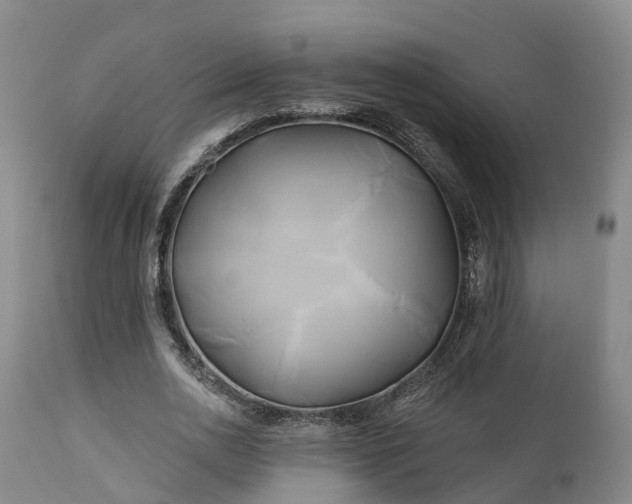 X0000111240726200907091358