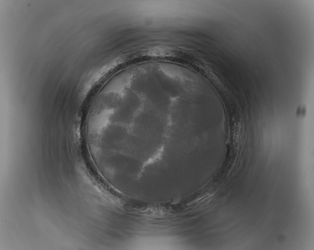 X0000111240727200907091358