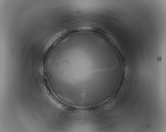 X0000111240729200907091358