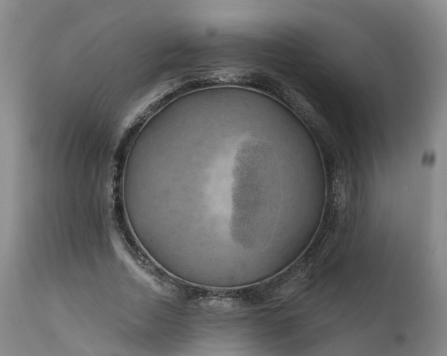 X0000111240730200907091358