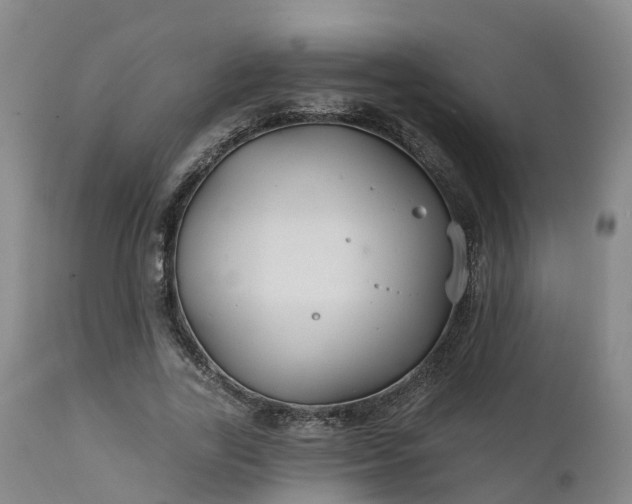 X0000111240731200907091358