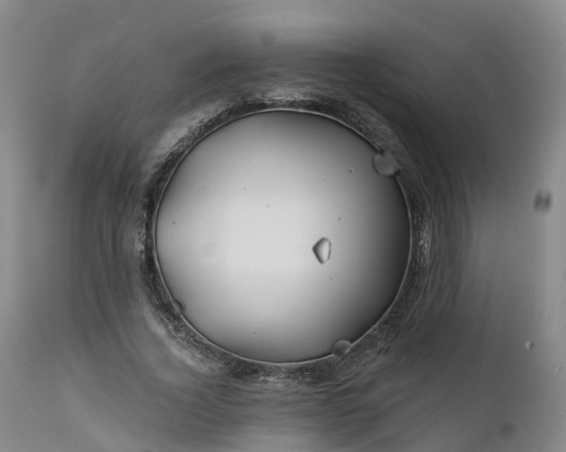 X0000111240732200907091358