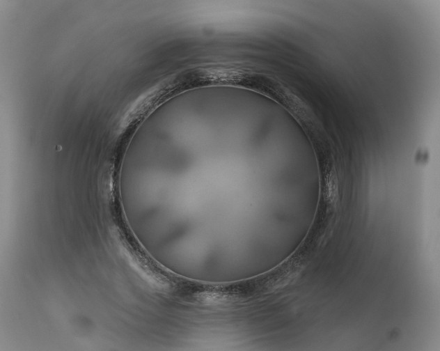 X0000111240733200907091358