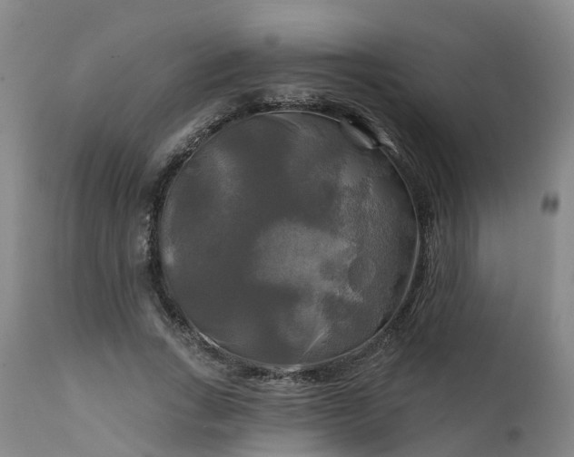 X0000111240735200907091358