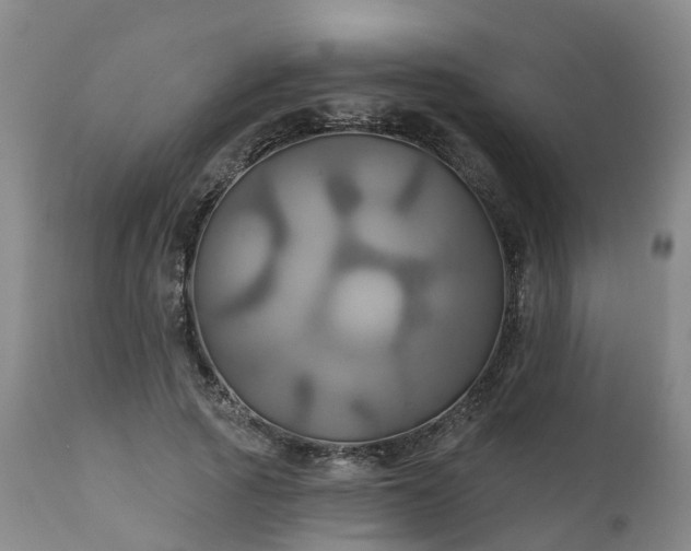 X0000111240737200907091358