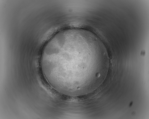 X0000111240738200907091358