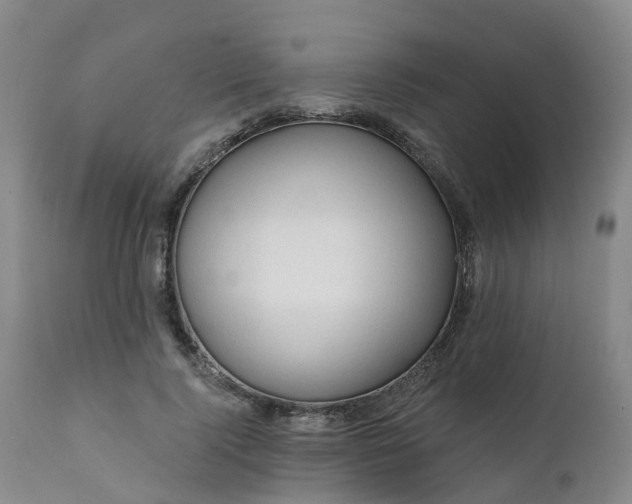 X0000111240740200907091359