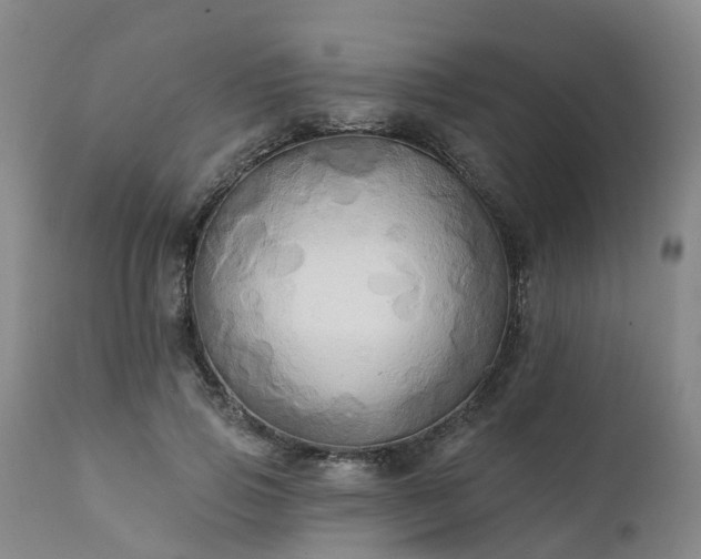 X0000111240741200907091359