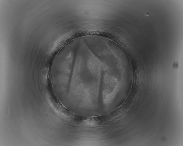 X0000111240742200907091359