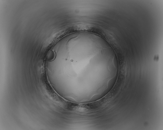 X0000111240743200907091359