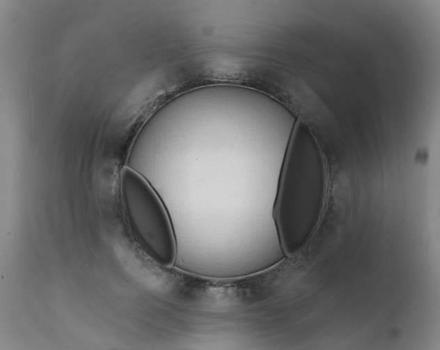 X0000111240744200907091359