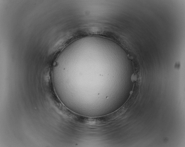 X0000111240746200907091359