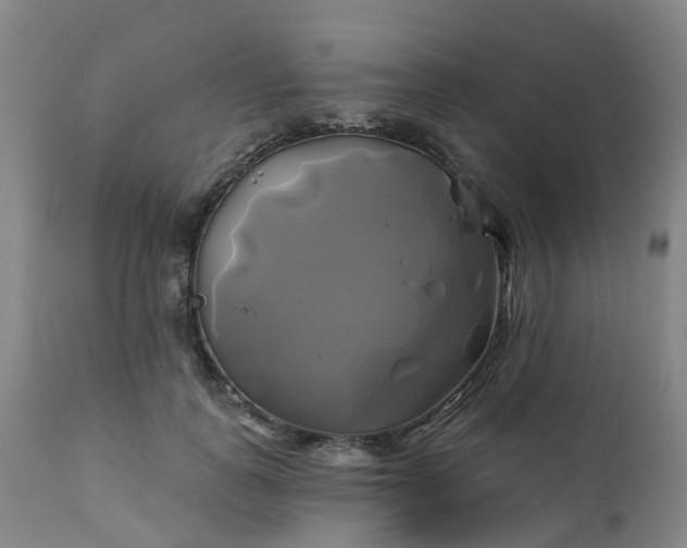 X0000111240747200907091359