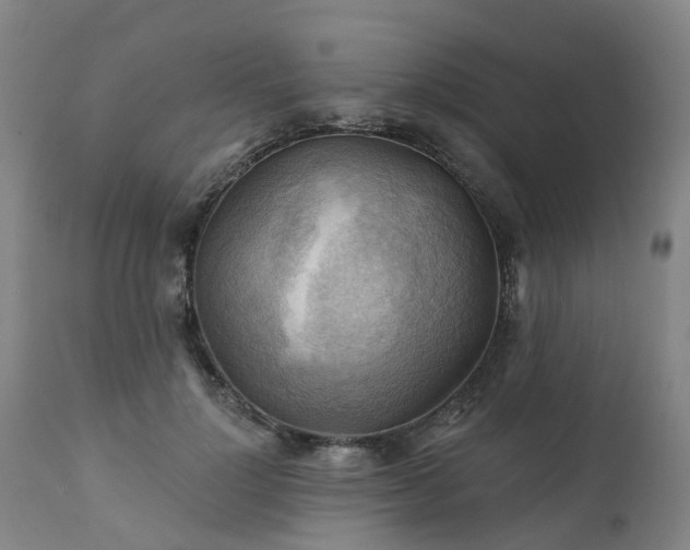 X0000111240748200907091359