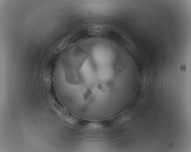 X0000111240749200907091359