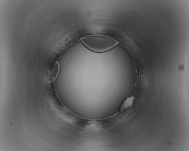 X0000111240750200907091359