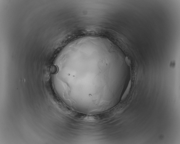 X0000111240751200907091359