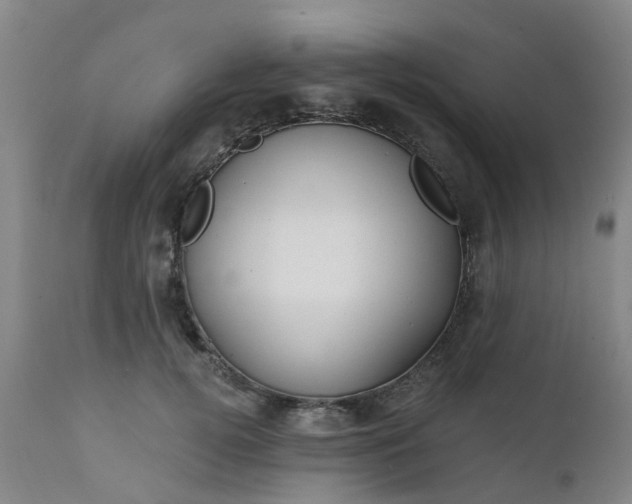 X0000111240752200907091359