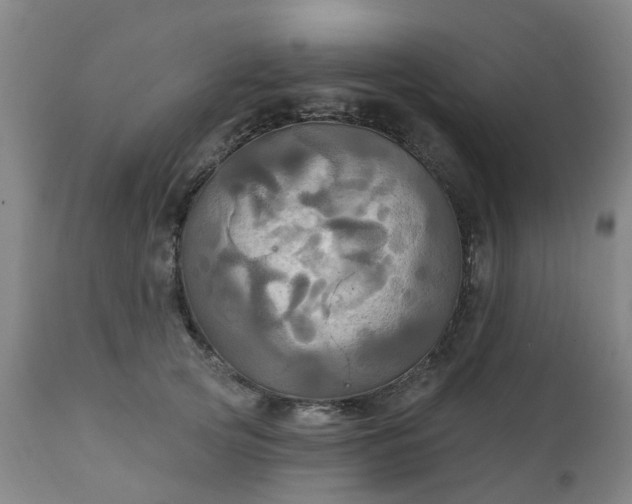 X0000111240753200907091359