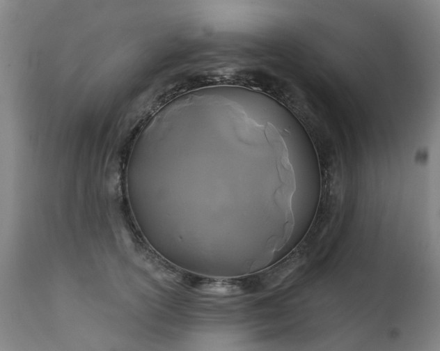 X0000111240754200907091359