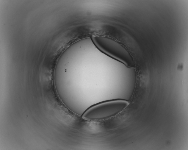 X0000111240756200907091359