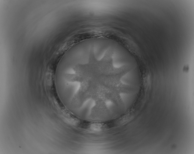 X0000111240757200907091359