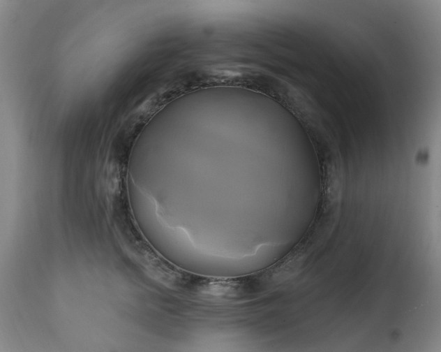 X0000111240758200907091359