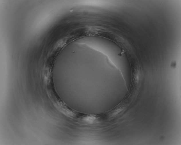 X0000111240759200907091359