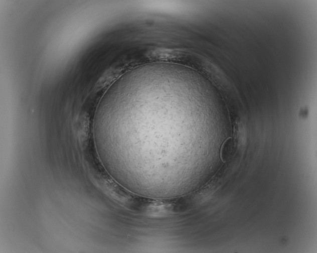 X0000111240760200907091359