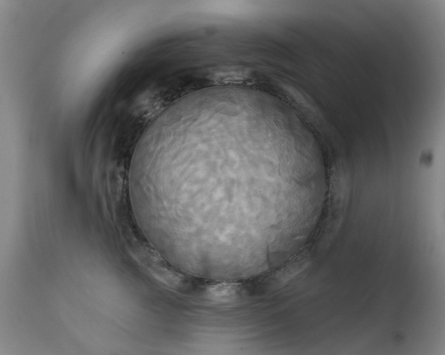 X0000111240761200907091359