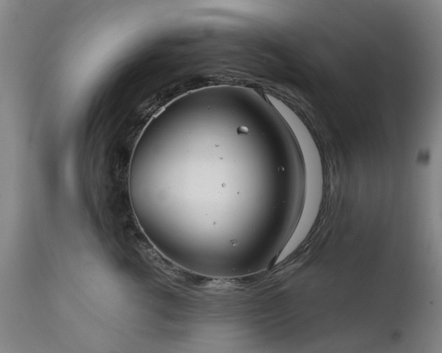 X0000111240762200907091359