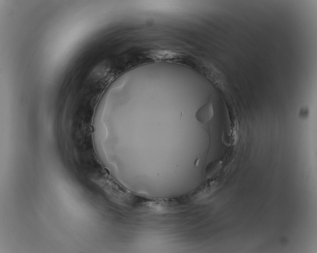 X0000111240763200907091359