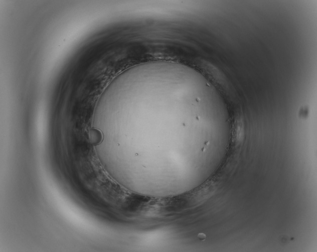 X0000111240764200907091359