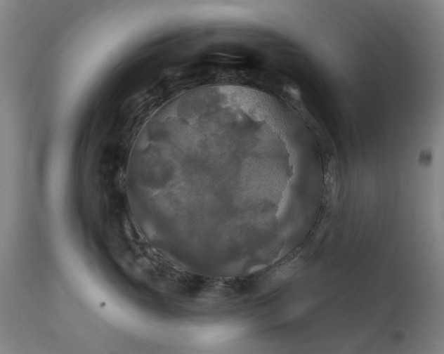 X0000111240765200907091359