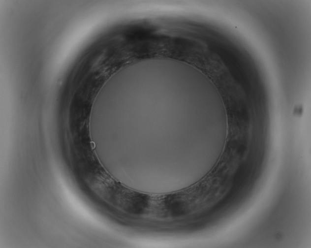 X0000111240766200907091359