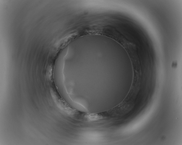 X0000111240767200907091359