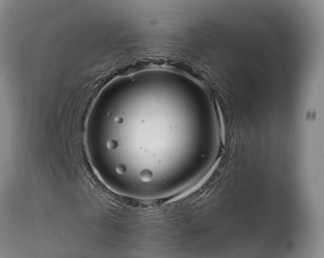 X0000111240769200907091358