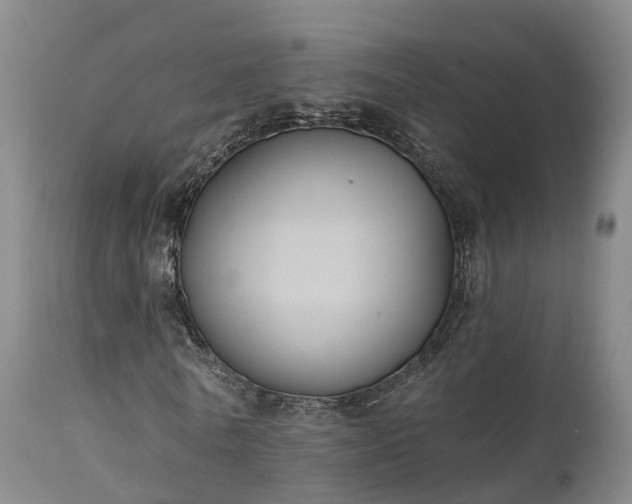 X0000111240770200907091358