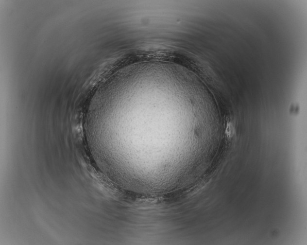 X0000111240771200907091358