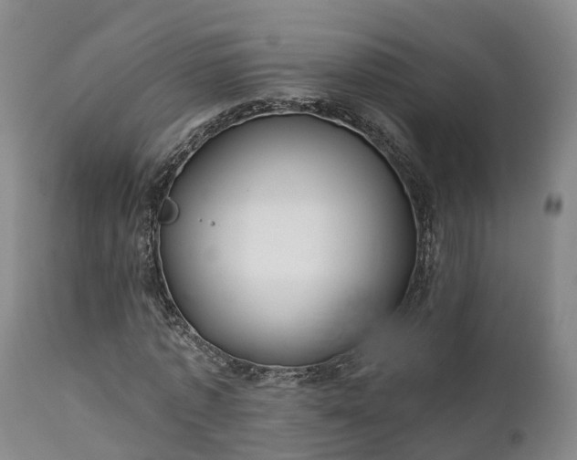 X0000111240773200907091358