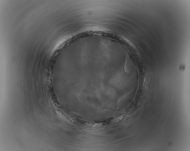 X0000111240775200907091358